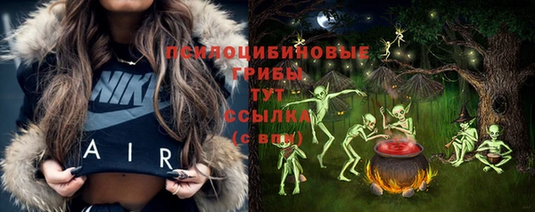 ГАЛЛЮЦИНОГЕННЫЕ ГРИБЫ Беломорск