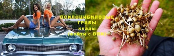 ECSTASY Белоозёрский