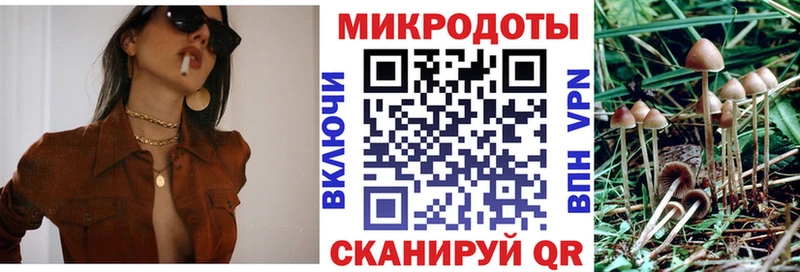 магазин  наркотиков  блэк спрут онион  Галлюциногенные грибы Psilocybe  Волхов 